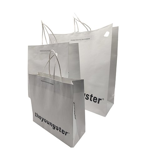 TG Twisted Handle Paper Bag