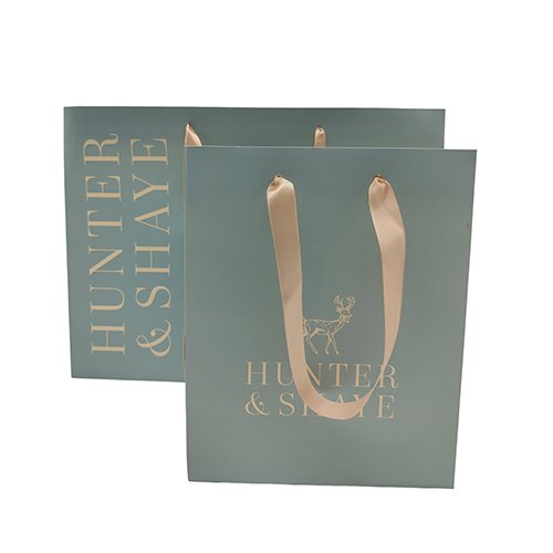 H&S Ribbon Handle Paper Bag